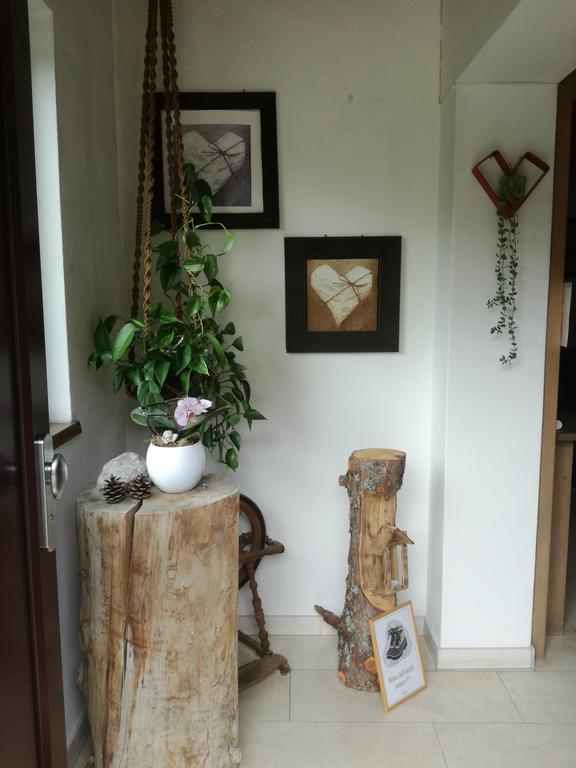 Ferienwohnung Wetterstein 莱尔莫斯 外观 照片
